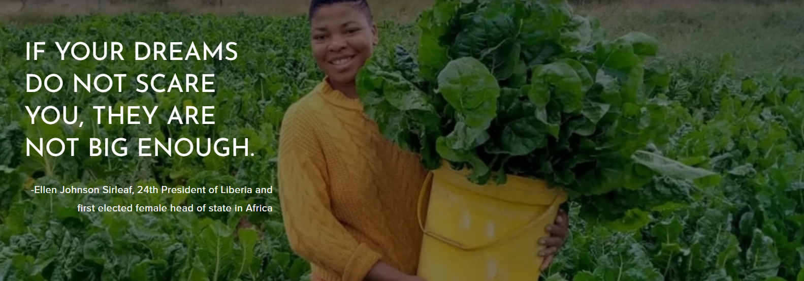 Giving Joy 2026 Microgrant Program for Women Entrepreneurs